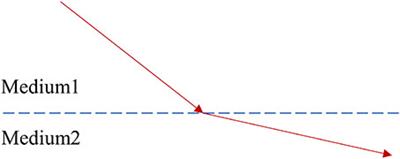 Path-dependent selection—a bridge between natural selection and neutral selection